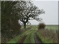 Bridleway towards Beedon in RG20 8SH