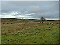 View towards March Ghyll Reservoir in LS29 0ET