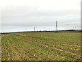 Pylons and Fields near Barn Farm in Bradmore
