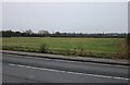 Field by St Marys Lane near Cranham in RM14 3PA