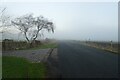 Mist over Penny Pot Lane in HG3 1SN