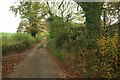Footpath near Chudleigh Woods Farm in TQ13 0NF