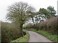 Waterditch Lane, near Christchurch in BH23 7JU