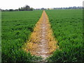 Well defined footpath towards Ashford in TN25 5AZ