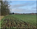 Farmland next to Mere Lane in LE2 4WB