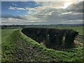 Hedge and farmland along Mere Lane in LE2 4WB