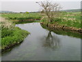 View of the Great Stour from footbridge in TN25 5AZ