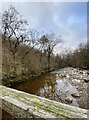 Afon Taf Fechan from the footbridge in CF48 2TU