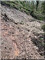Landslip alongside Afon Taf Fechan in CF48 2TS