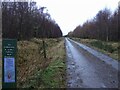 Forest Track to Culburnie in IV4 7HS