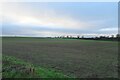 Fields south of the A59 in HG5 0RP