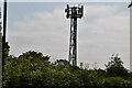 Mast by Bedfont Lake in TW14 8EE