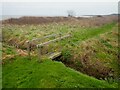 Footbridge from picnic area in DG9 9LU