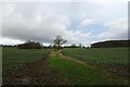 Field north of Marton Lane in HG5 0QT
