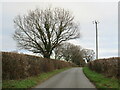 Organford Lane, Organford in BH16 6FE