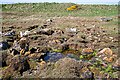 Boulders and Saltmarsh in AB45 2NL