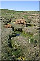 Saltmarsh with boulders in AB45 2NL