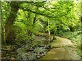 Footpath alongside Iburndale Beck in YO22 5BZ