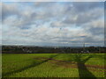 Shadows over an autumn sown crop near Queniborough in LE7 3FE