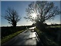 Lane near Muckleton in January in TF6 6RG