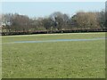 Puddle in a field in January reflecting the blue sky in TF6 6RF