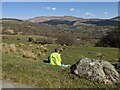 A picnic spot with a view in Brithdir and Llanfachreth Community