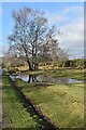Waterlogged ground beside Forest Road in BH24 4DB