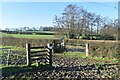 Muddy field entrance on the Pilgrim's Trail in SO32 2EY