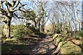 Sunlit bridleway near Beechleys in BH11 9FR