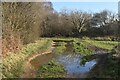 Puddled path near Belben Road in BH11 8TH