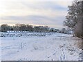 Snowy path running south from Danes Moss Farm, Gawsworth in SK11 7UY