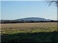 The Wrekin from Poynton Green in SY4 4JN