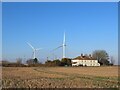 Wind turbines near King's Lynn in North Lynn Ward