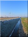 Frosty drainage ditch in PE30 2HS