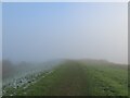 Ouse Valley Way in the fog in PE34 3FL