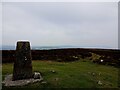 Trig on Esclusham Mountain in LL11 3DR