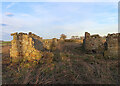 Ruins at Mount Cottage in EH23 4PD