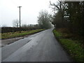 Looking south along The Ridings beside Hickling's Spinney in LE7 7LG