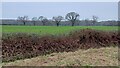 Field and trees south of Sheepwash Lane in PO7 6TW