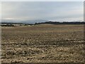 Stubble near Gellybank in KY13 0LE