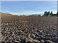 Fields near Tillycroy in AB31 6NX