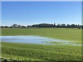 Flooded fields at Hall Farm in RG2 9HX