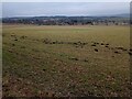 View over farmland towards Torrance in G64 4EU