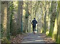 Jogger on the path beside The Avenue in TS14 8DF