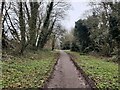 Path along Grace Dieu Brook at Whitwick in LE67 5DX