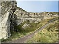 Magnesian limestone cliffs, Dawdon in SR7 8SP