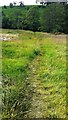 Footpath across field towards Dinckley Brook in BB6 8HS