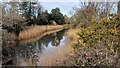 River Alver from Browndown Road bridge in PO13 8AB