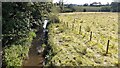 Dinckley Brook seen from south parapet of Dinckley Bridge in BB6 8AW