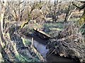 Uprooted footbridge over Black Brook in DE56 2LZ